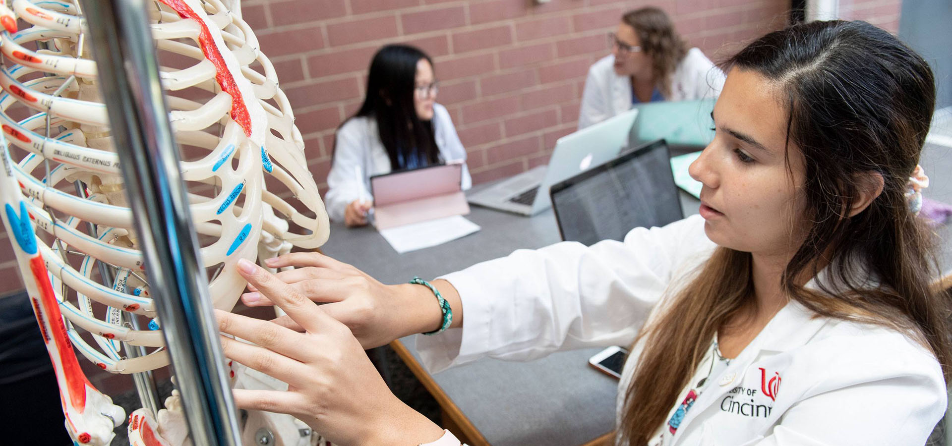 students sitting in classroom