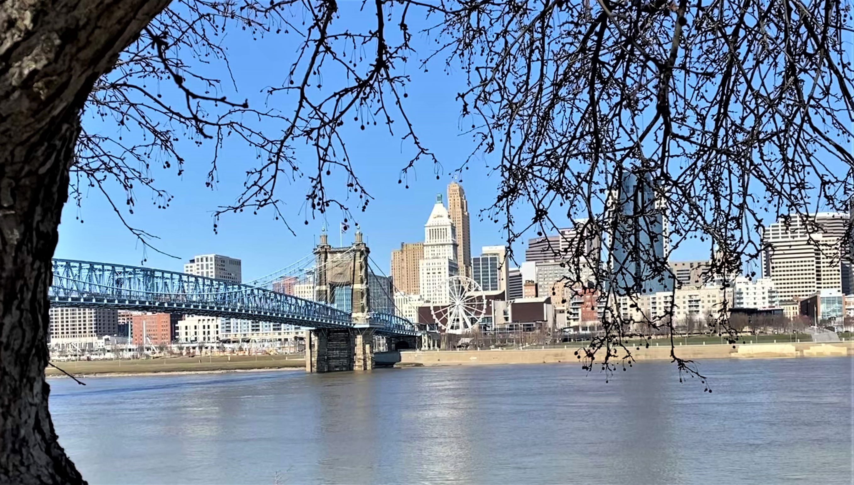 Cincinnati skylline