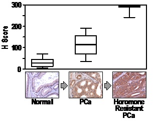 waltz_research_focus_pca