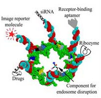 prna-nano