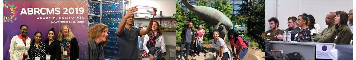 Collage 3 website and brochure