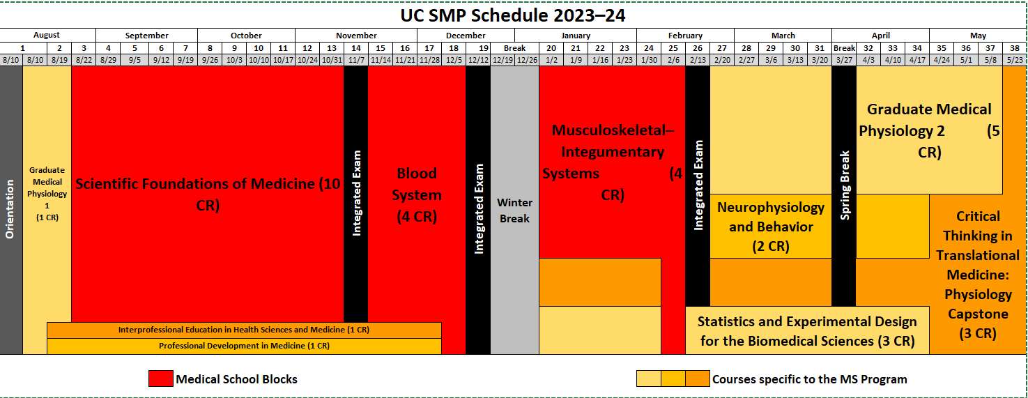 SMP Curriculum 2021-2022