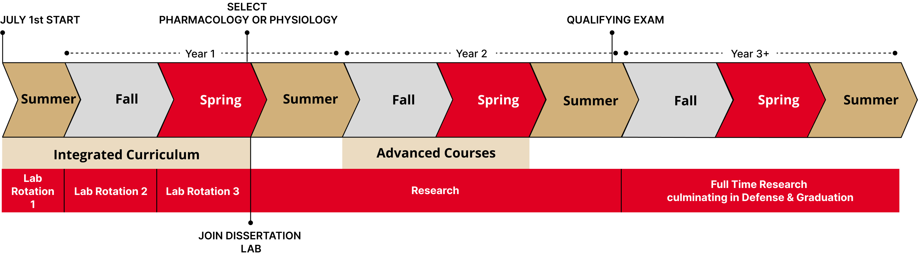 Timeline of PhD program as described in text below