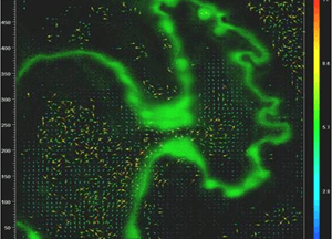 Visualization of blood flow in shaping a heart.